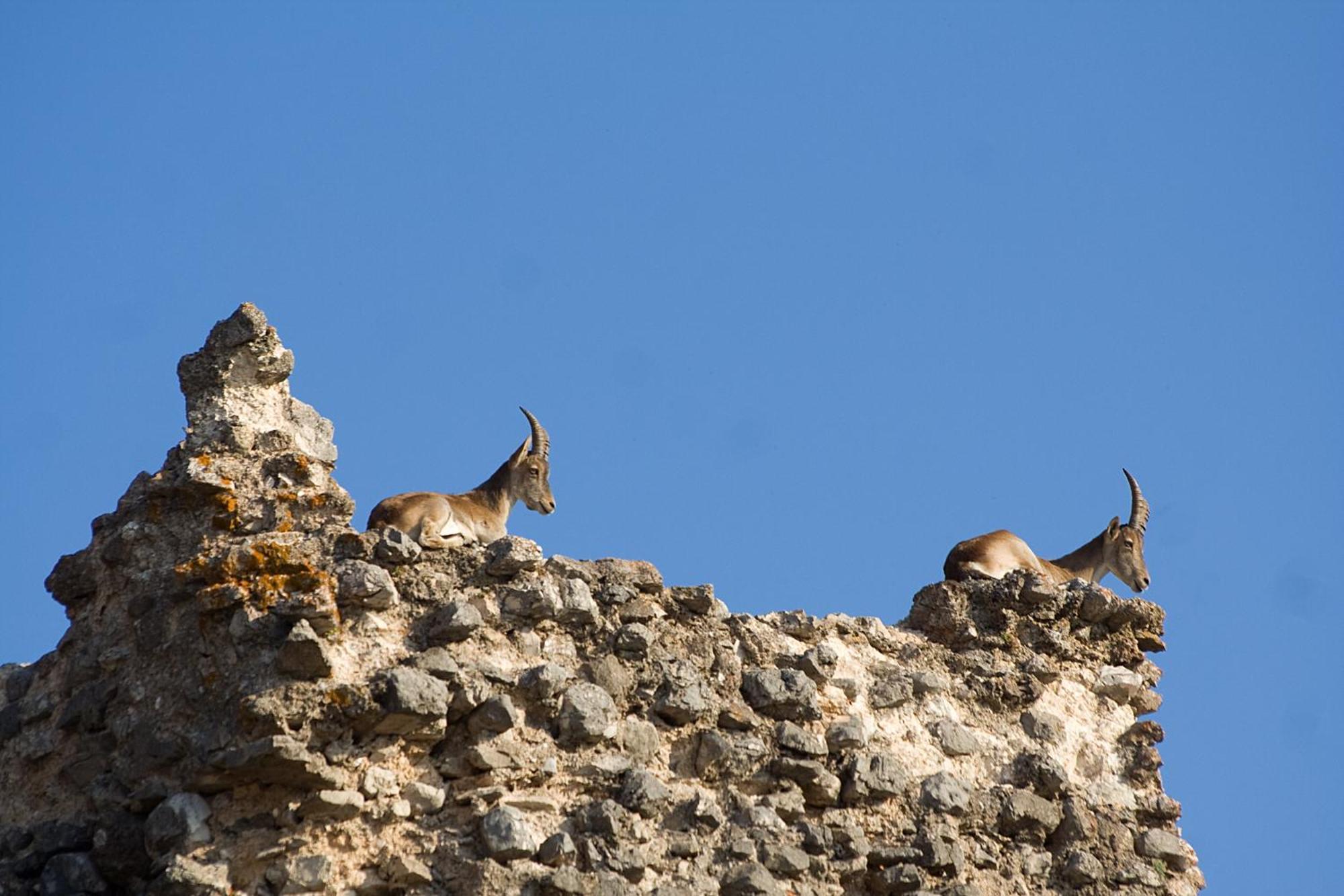 Los Huertos De Segura Segura de la Sierra Dış mekan fotoğraf